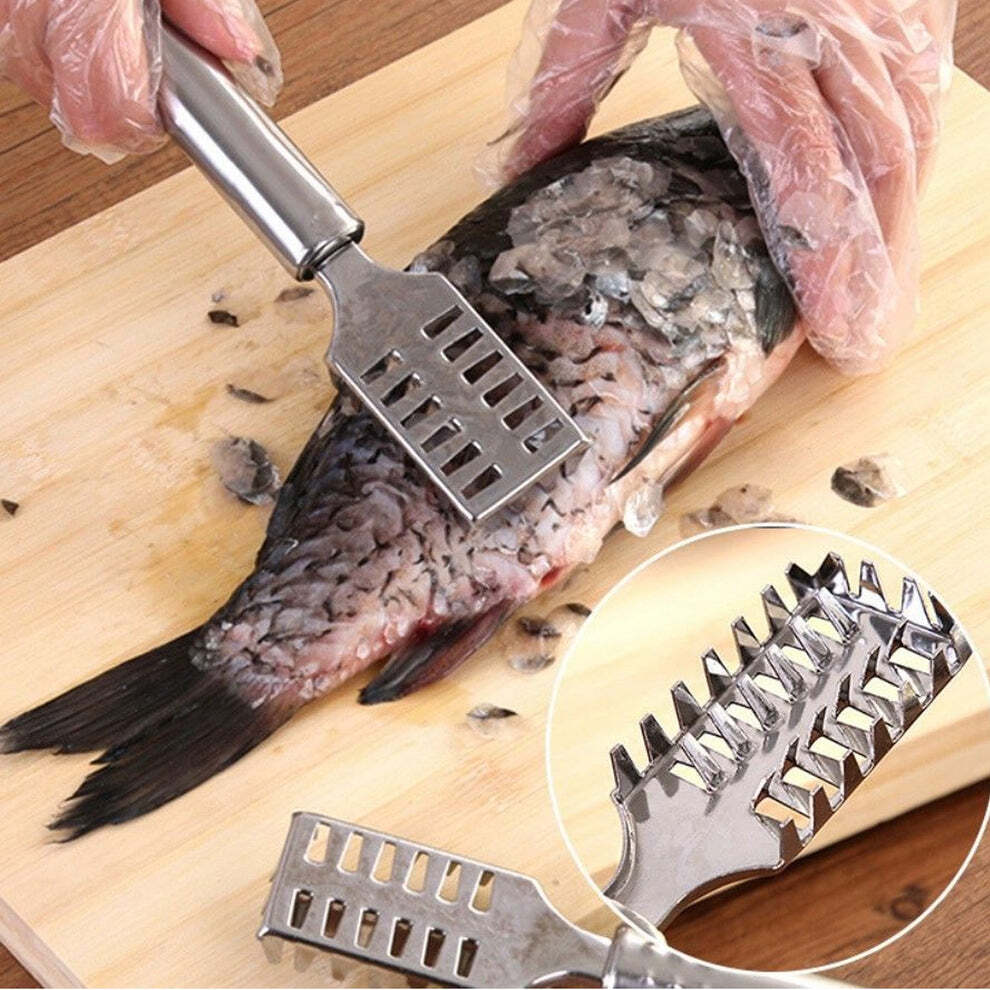 imageedit_0_6238588156 Fish Scale Remover – Sawtooth Stainless Steel Scraper | Quickslice