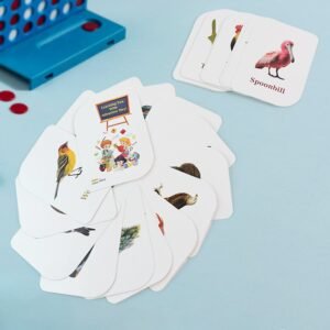 02_5ba013bd-dbbf-4d85-af5a-85814d6528ef.jpg Bird Flashcards – 32 Realistic Educational Cards for Kids