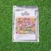 02_7080ee7f-6a92-4be2-9845-c9559ddda262.jpg Flower Seeds Combo – 20 Varieties for Vibrant Gardens
