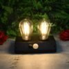 02_e4d508c4-784d-44ae-a4cf-5f0887947467.jpg Solar LED Lamp ñ Double Bulb Outdoor Garden Light | Indo Glow