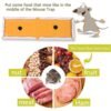 Small Size Cardboard Mouse Trap – Strong Adhesive Glue | Indo Glow