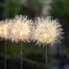Solar Powered Dandelion Garden Lights – 2 Pc Multicolor LEDs