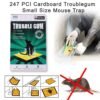 Small Size Cardboard Mouse Trap – Strong Adhesive Glue | Indo Glow