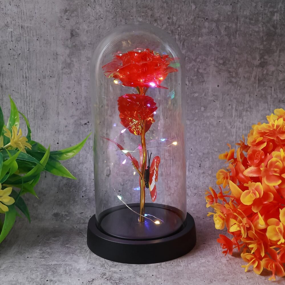 03_8cda2c5b-4d9f-4e62-b361-5295a6832bb1.jpg LED Eternal Rose in Plastic Dome – Romantic Night Light Gift