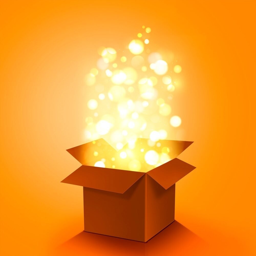 Premium  Lucky Box – Exciting Rs. 1500 Value Surprise Pack