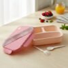 Plastic 3 Compartment Lunch Box for Kids – Organized & Portable
