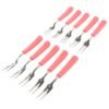 Stainless Steel Fruit Fork Set – 10 Durable Mini Forks with Soft Grip
