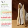 Wall Mounted Toothbrush Holder Set – Hygienic Bamboo Brushes