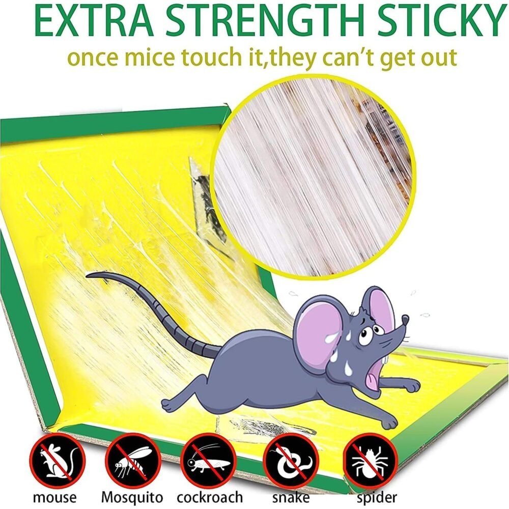 Small Size Cardboard Mouse Trap – Strong Adhesive Glue | Indo Glow