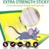 Small Size Cardboard Mouse Trap – Strong Adhesive Glue | Indo Glow