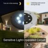 Solar Powered LED Garden Lights – Eco-Friendly Outdoor Pathway Lighting