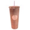 Studded Tumbler – Double Walled Cold Cup with Straw Lid