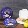 Disposable Paper Plates ñ Festive Birthday Set | JubileeJoy