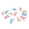 Plastic Cloth Clips – Pack of 12 Strong Multicolor Pegs
