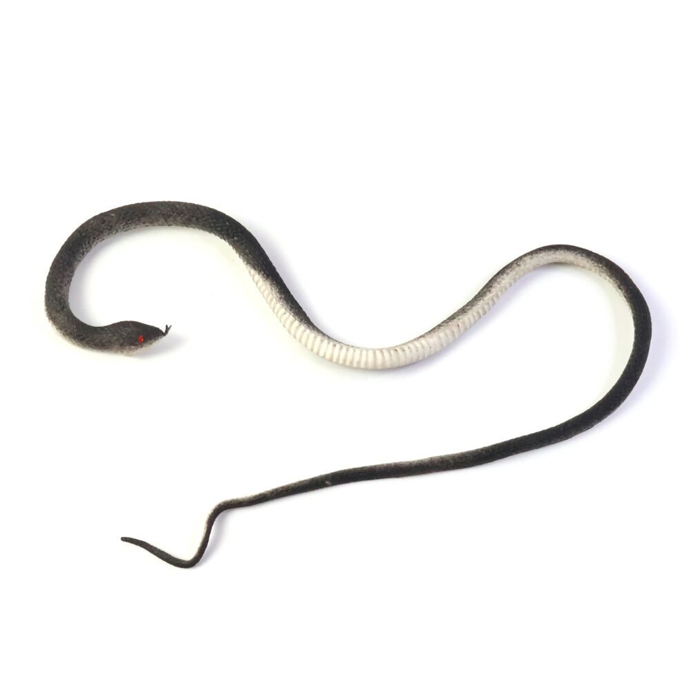 05_snake-toy.jpg Realistic Rubber Snake Toy – Flexible & Lifelike Prank Fun