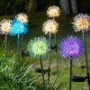 Solar Powered Dandelion Garden Lights – 2 Pc Multicolor LEDs