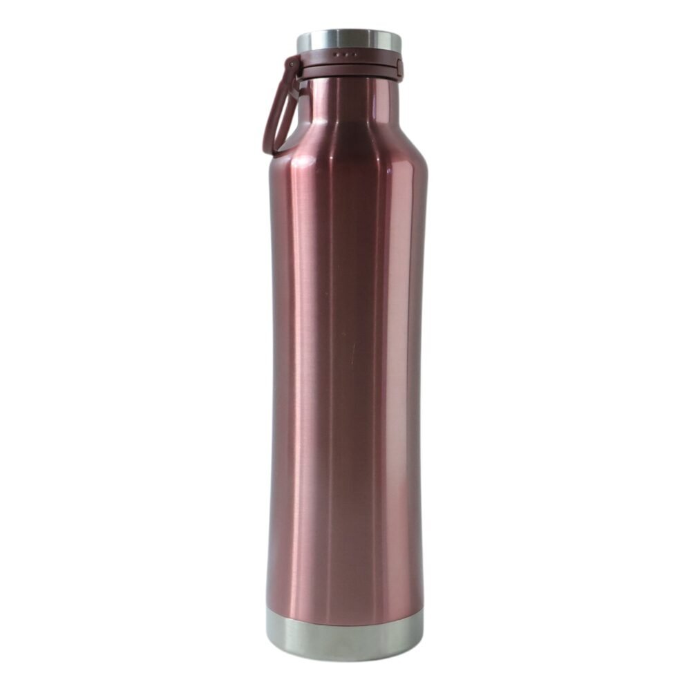 Insulated Water Bottle – Keeps Hot & Cold for Long Hours