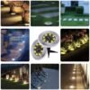 Solar Powered LED Garden Lights – Eco-Friendly Outdoor Pathway Lighting