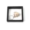 Nail Clipper Keychain – Compact 3D Floating Frame | AuriGlam
