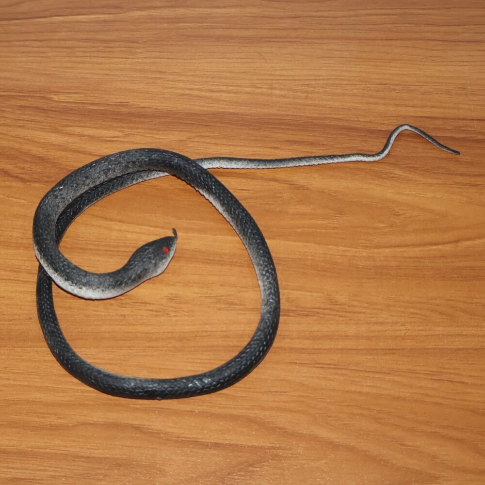 08_snake-toy.jpg Realistic Rubber Snake Toy – Flexible & Lifelike Prank Fun