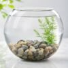 Decorative River Pebbles – Versatile Natural Stones for Indoor & Outdoor