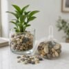 Decorative River Pebbles – Versatile Natural Stones for Indoor & Outdoor
