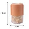 Toothpick Dispenser – Hygienic One-at-a-Time Pop-Up Design