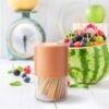 Toothpick Dispenser – Hygienic One-at-a-Time Pop-Up Design