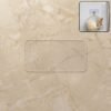 Self-Adhesive Wall Hook – Damage-Free, Waterproof & Easy to Install