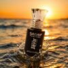 23772-08-live_8b588f0e-870b-4d48-b5d9-2663688621c8.jpg Unisex Attar – Long-Lasting Alcohol-Free Perfume Oil for All