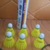 Plastic Shuttlecock – Durable & Consistent Flight (6 Pcs Set)