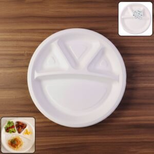4 Compartment Disposable Food Serving Plate – Set of 10