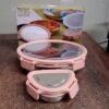 Stainless Steel Lunch Box Set – Leakproof & Durable 2-Piece