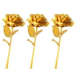 Golden Rose Decoration Set – Elegant 3-Piece Mix Color Display