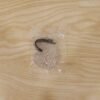 AdhesiveRoundWallHooks-live.jpg Multipurpose Self Adhesive Wall Hook – Strong & Waterproof for Easy Home Organization