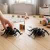 Kids Animal Pull Back Toy – Fun Rolling Motion & Imaginative Play