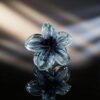 Butterfly-05.jpg Floral Hair Clip – Elegant Mix Color Accessory for Women