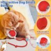 Interactive Cat Toy Ball – LED Light & Detachable Tail