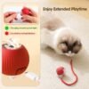 Interactive Cat Toy Ball – LED Light & Detachable Tail