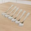 Dessert-Spoon-04.jpg Stainless Steel Dining Spoon Set – Durable 6-Piece Collection