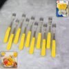 Stainless Steel Big Fork Set – Durable 10-Piece Dining Forks