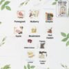 Fruit Seeds Combo Pack – 10 Quality Varieties for Home Gardening
