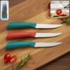 Stainless Steel Fruit Knife Set – Sharp & Ergonomic 3-Piece