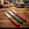 Kitchen Knife Set – Sharp Multipurpose Cutting Knives Pack of 3
