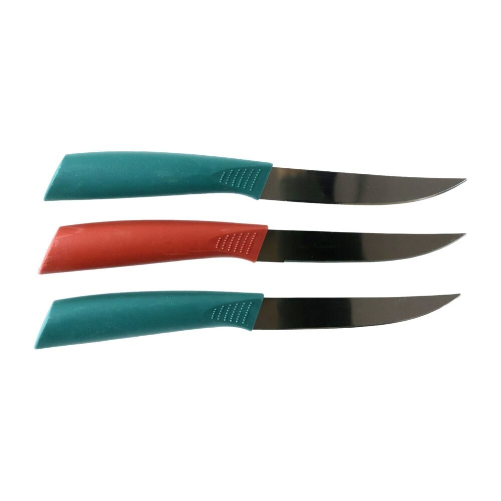 Stainless Steel Fruit Knife Set – Sharp & Ergonomic 3-Piece
