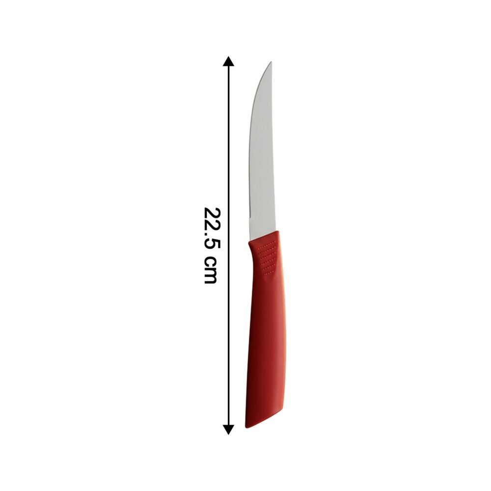 Stainless Steel Fruit Knife Set – Sharp & Ergonomic 3-Piece