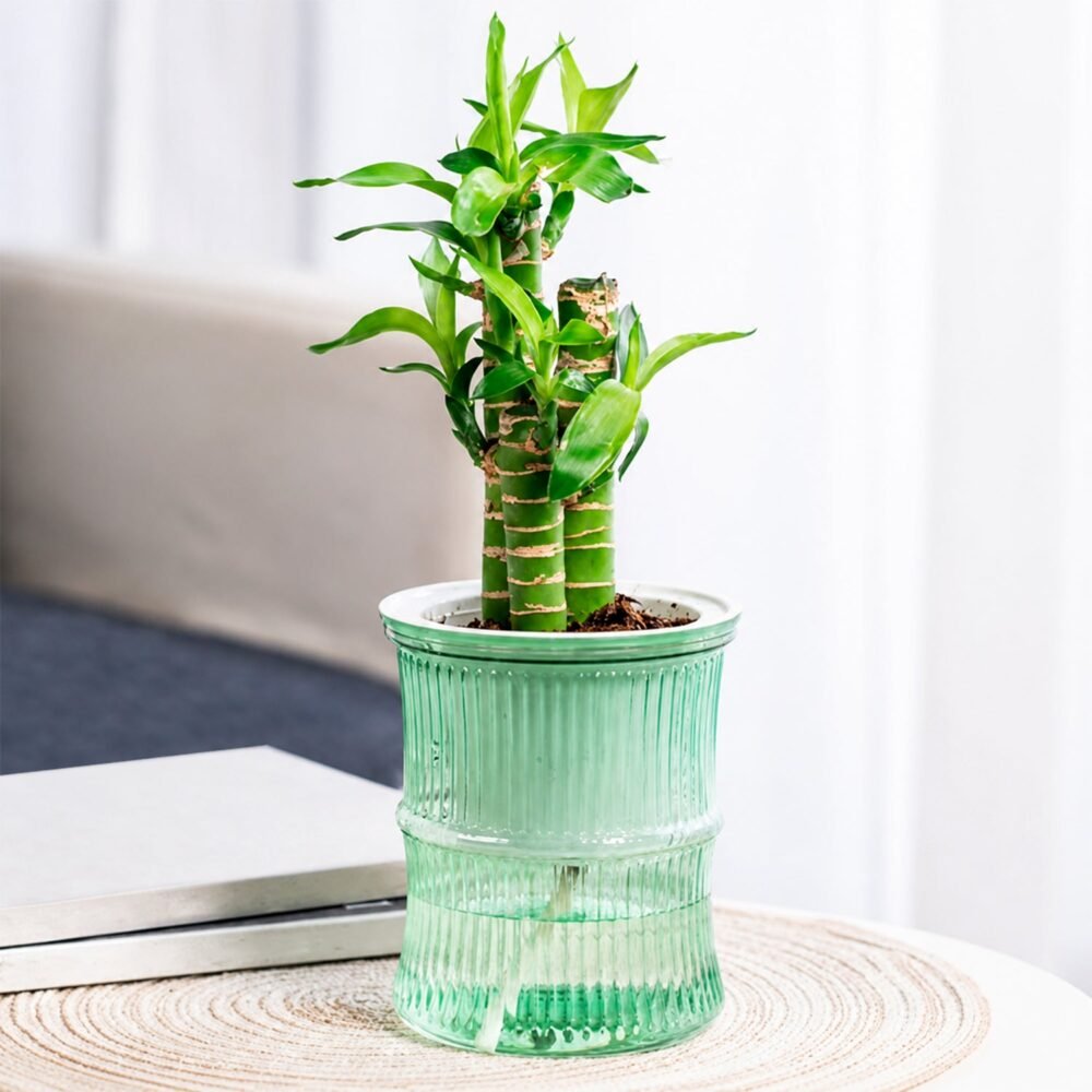 Plant-Water-Pot-02.jpg Self-Watering Bamboo Style Plastic Flower Pot – Easy Indoor Plant Care