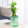 Plant-Water-Pot-02.jpg Self-Watering Bamboo Style Plastic Flower Pot – Easy Indoor Plant Care