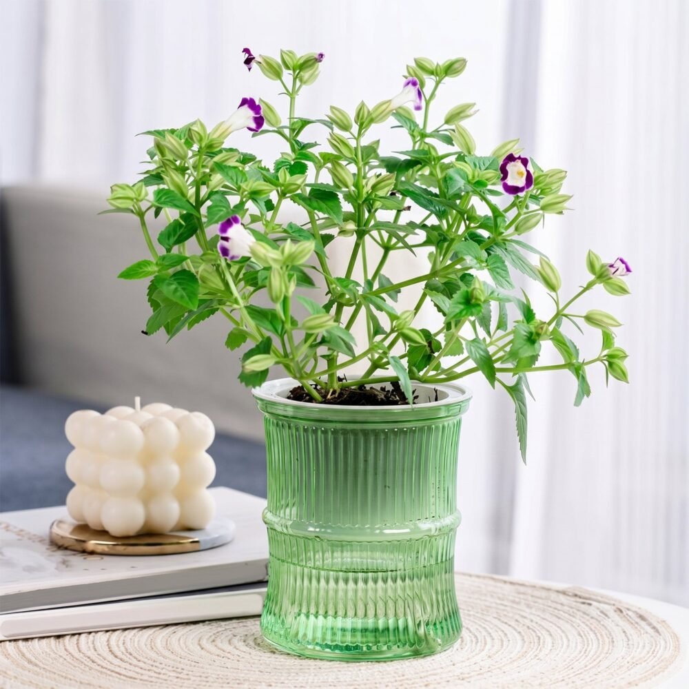 Plant-Water-Pot-03.jpg Self-Watering Bamboo Style Plastic Flower Pot – Easy Indoor Plant Care