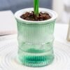 Plant-Water-Pot-04.jpg Self-Watering Bamboo Style Plastic Flower Pot – Easy Indoor Plant Care